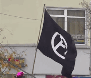 Black Flag